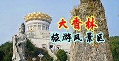 肏屄日本骚屄在线观看中国浙江-绍兴大香林旅游风景区